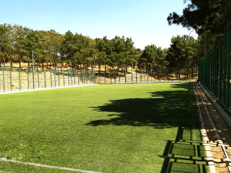 زمین چمن مصنوعی سرخه حصار